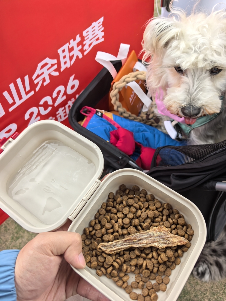 PetStar折叠碗真香