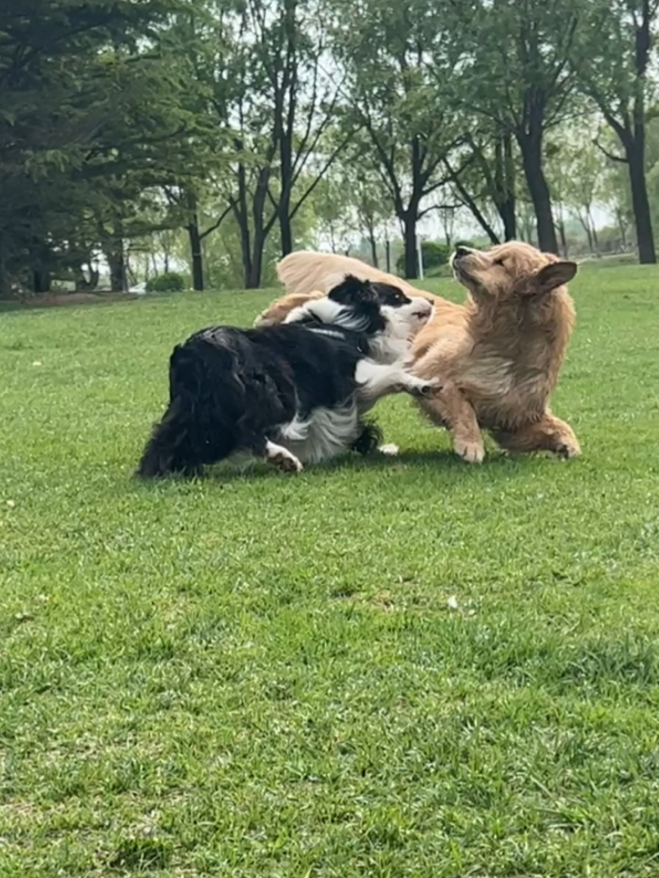 “下手可以轻点吗！”