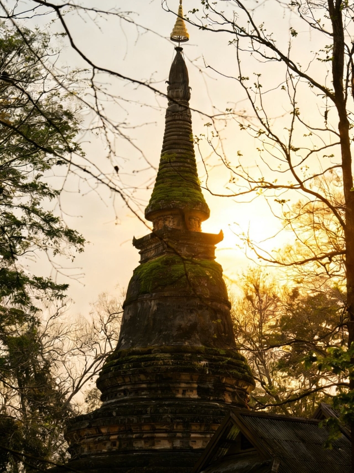 ChiangMai·比起金碧辉煌，我更爱这座被时光遗忘的“无梦寺”｜ 都说泰北的寺庙金碧辉煌，直到我特意选在黄昏时分，走进了清迈的乌蒙寺。 · 这里没有刺眼的金色🟡，只有青苔爬满的红砖、赤足而行的僧人，以及一尊尊残缺却安详的佛像。 · 乌蒙 “Umong”在泰语里是“隧道”的意思。这座始建于14世纪的森林寺院，曾是僧侣们避世修行的洞穴。 · 踏入隧道的那一刻，清迈的燥热瞬间褪去。幽暗的拱道里只有微...