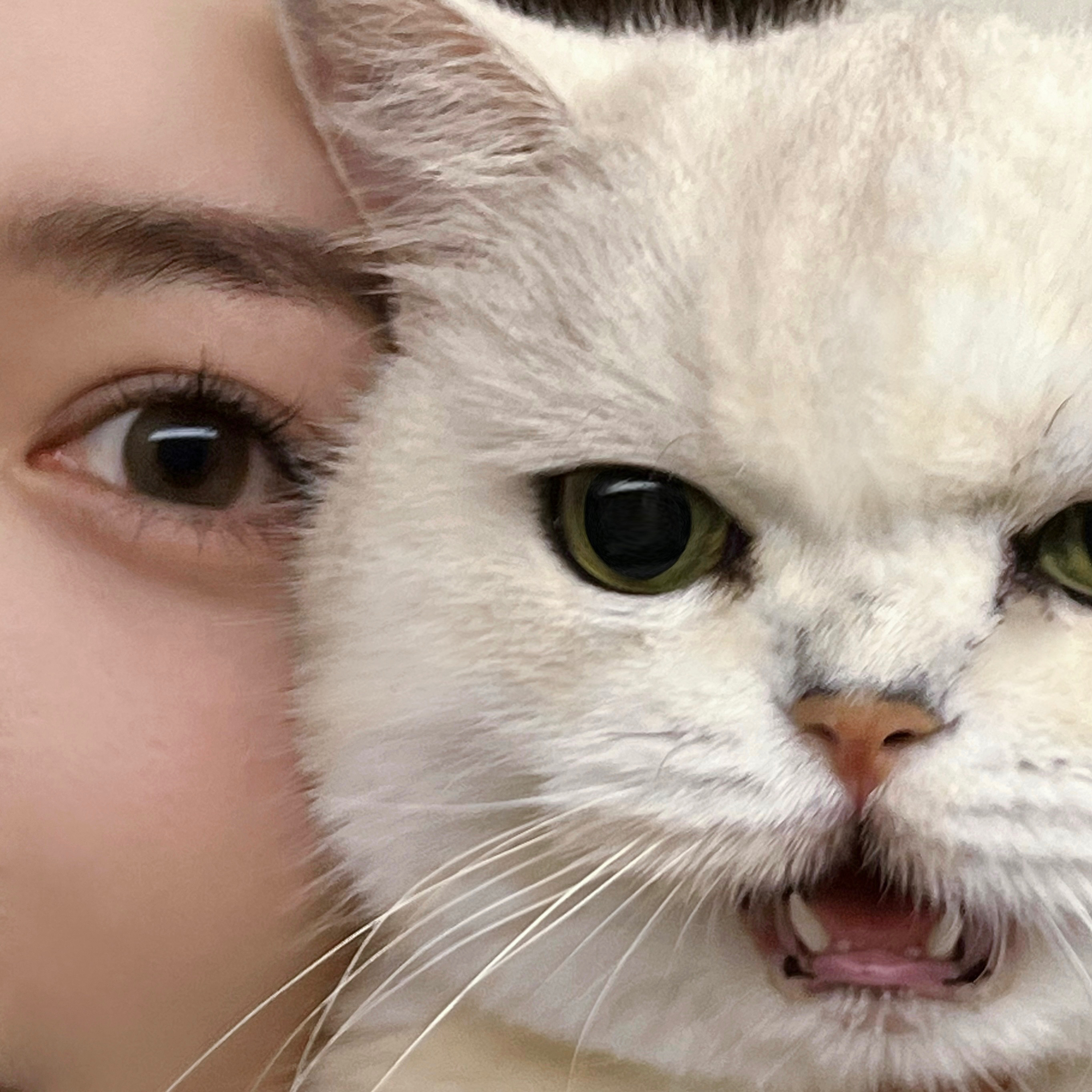 快看啊！这是我的拍照小搭子！！