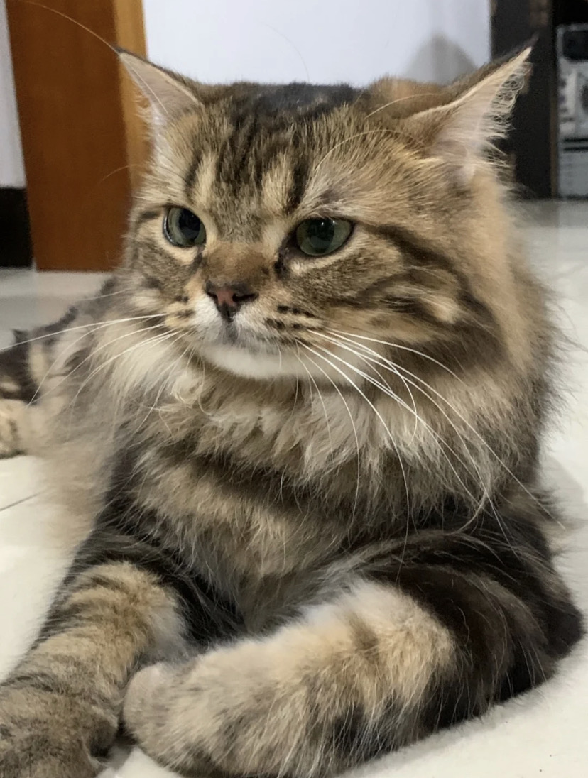 不知豆 咪的脸蛋很曼妙