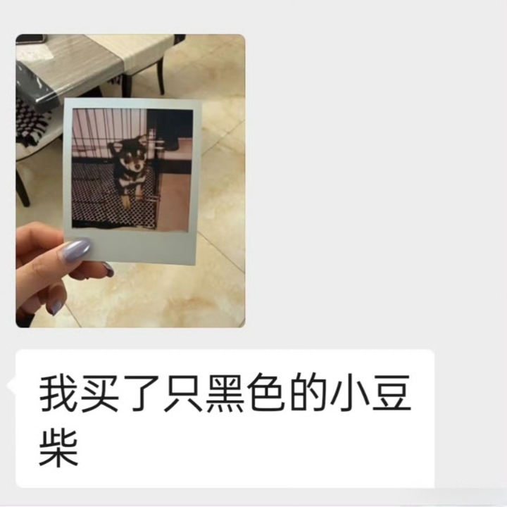 后来，我们真的都有了自己的小狗🐕