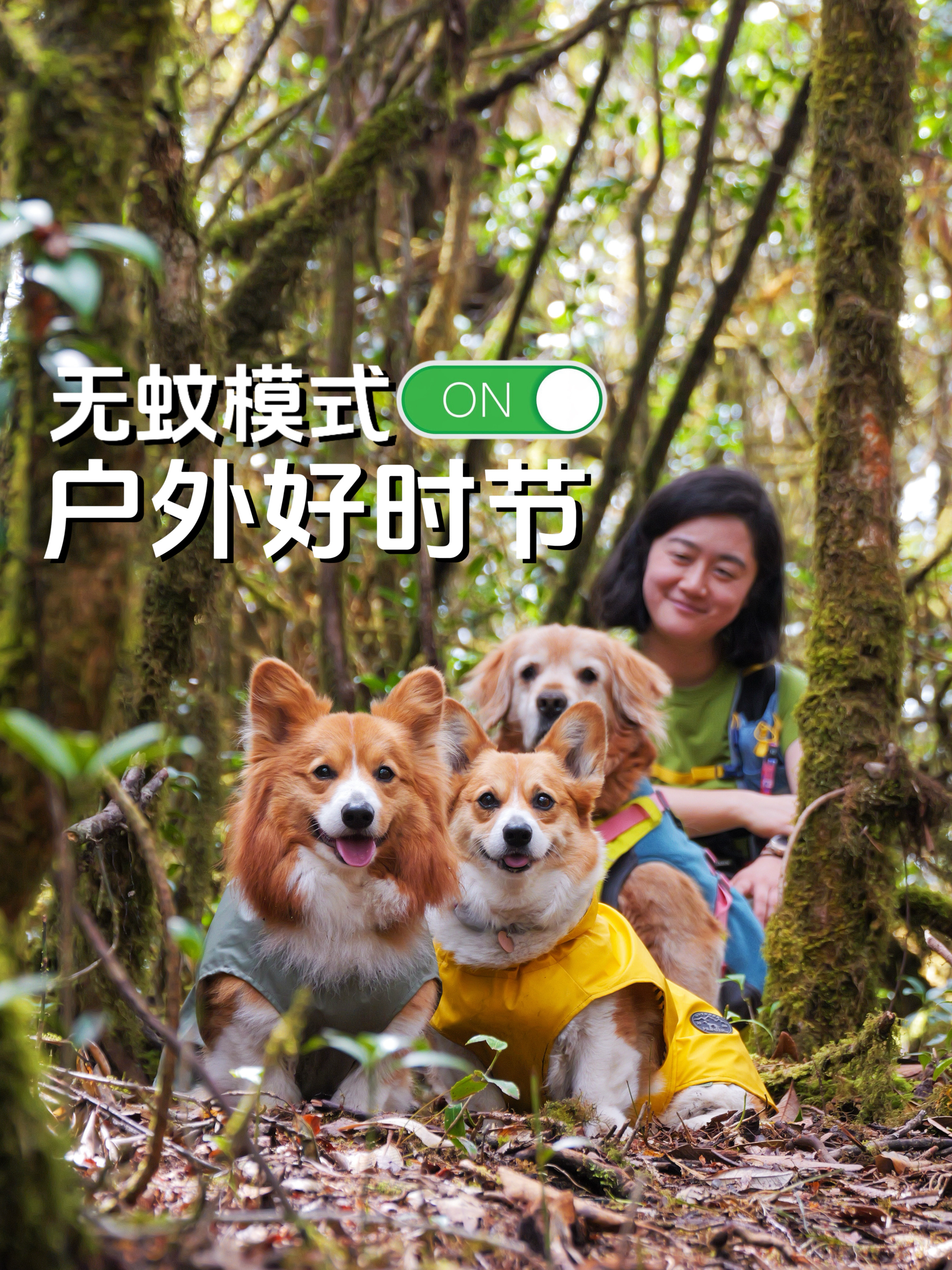 我宣布，正式开启和小狗的2026户外季！