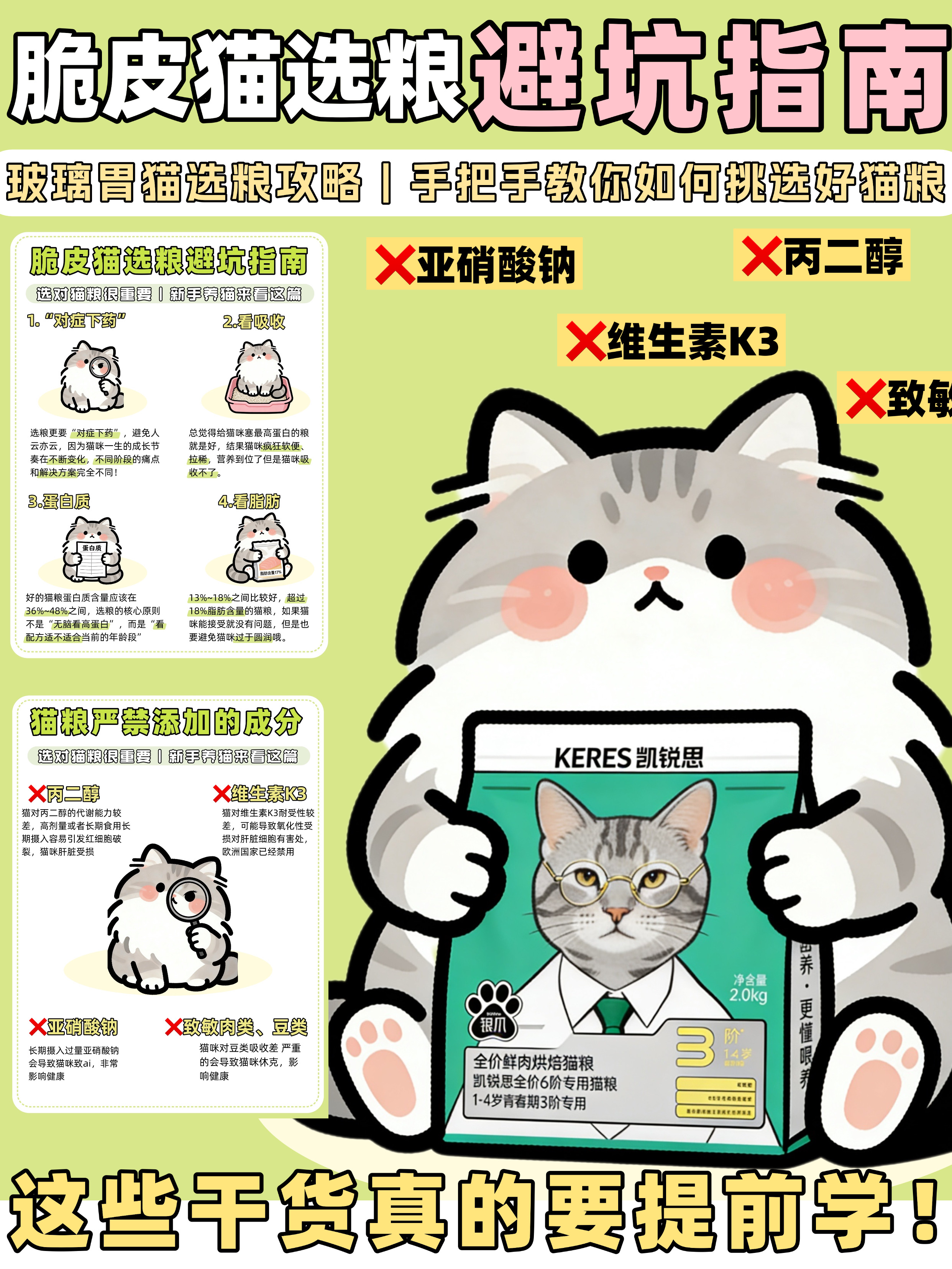 脆皮猫选粮避坑指南，这些关键点不得不看