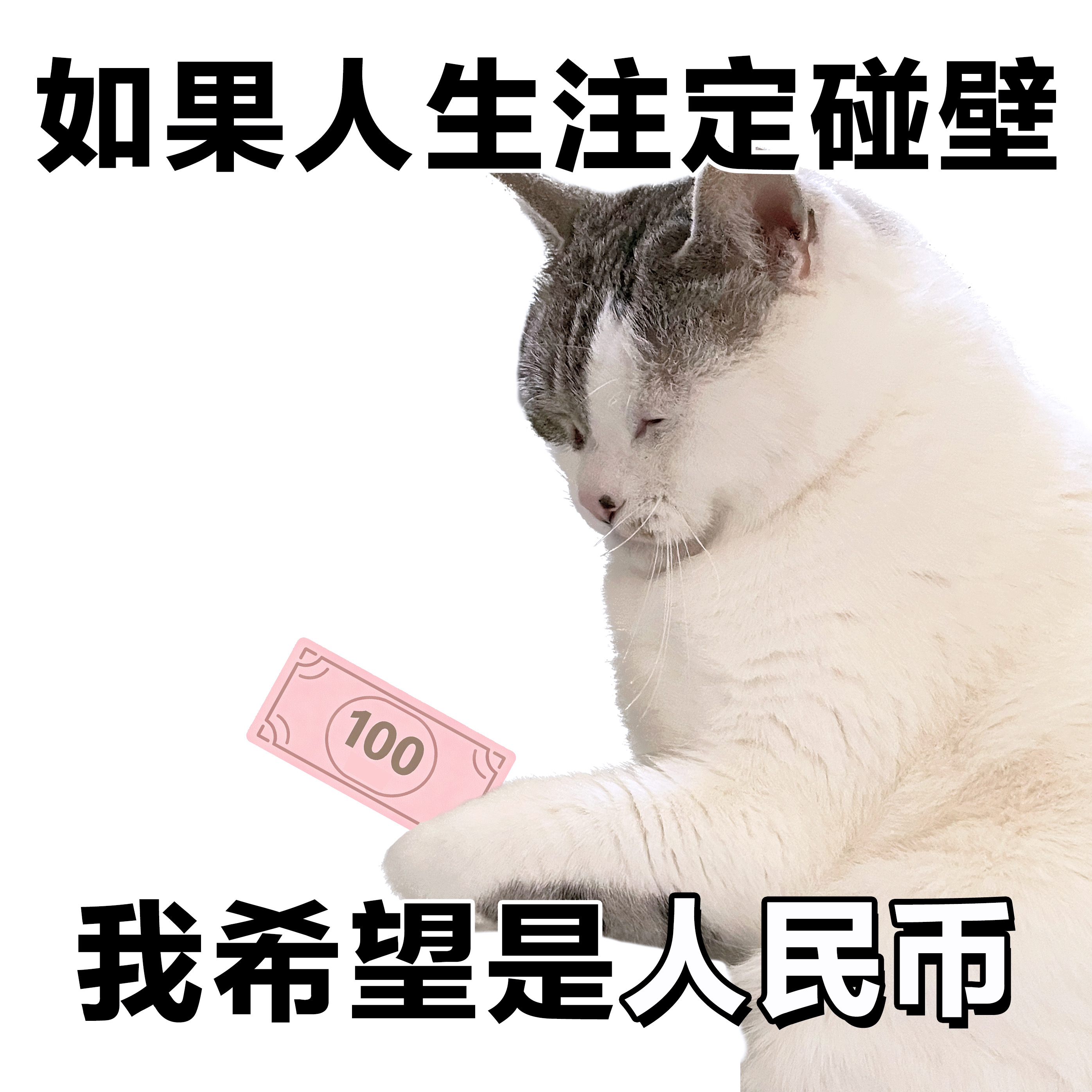 表情包 | 老大我们这样真的能行吗