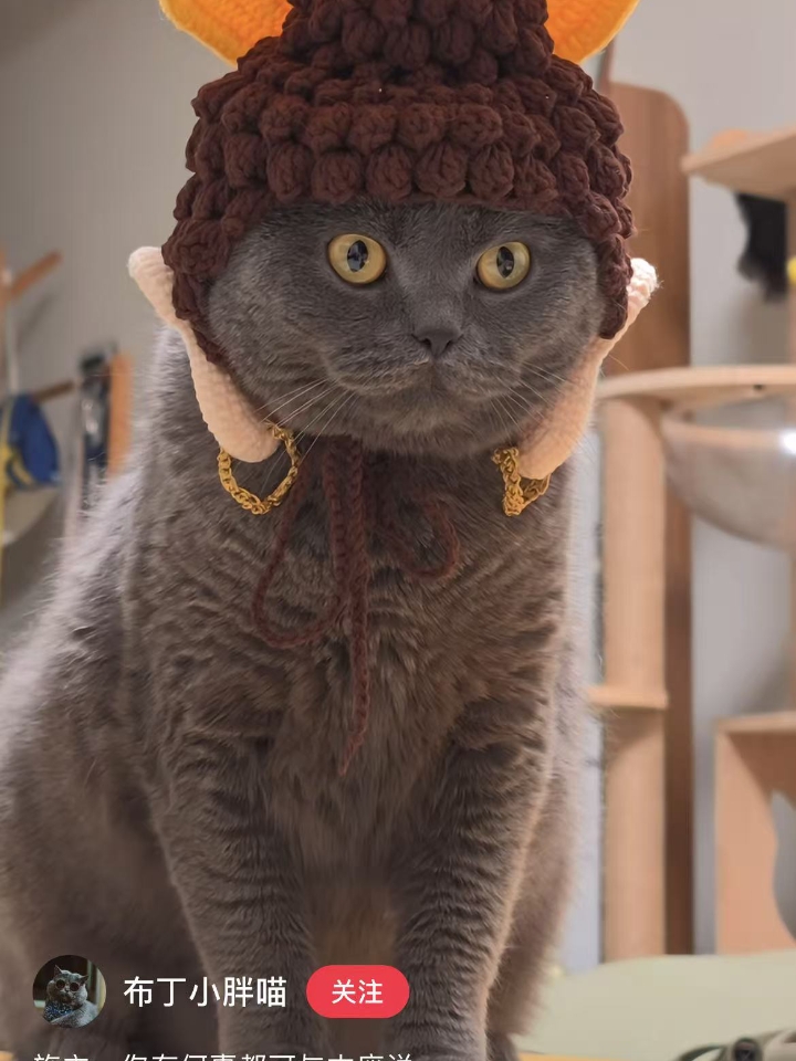 妈呀！宝宝，咱俩追的不一样的人，但咱俩的感受一样。就是单纯不会再来了，没有讨厌他们，没有不喜欢他们。就像是一个经常使用的漂亮物件，突然觉得不用，也不会怎么样。好像放在那里也挺好，一直在脑海里保留它最完美的记忆，就是最好的大结局。身边还有好多人在追，和以前的自己抱着一样的想法，不知道怎么同她们讲，所以讨论到他们的时候，只会笑。偶尔刷到视频也会点赞，觉得挺好的