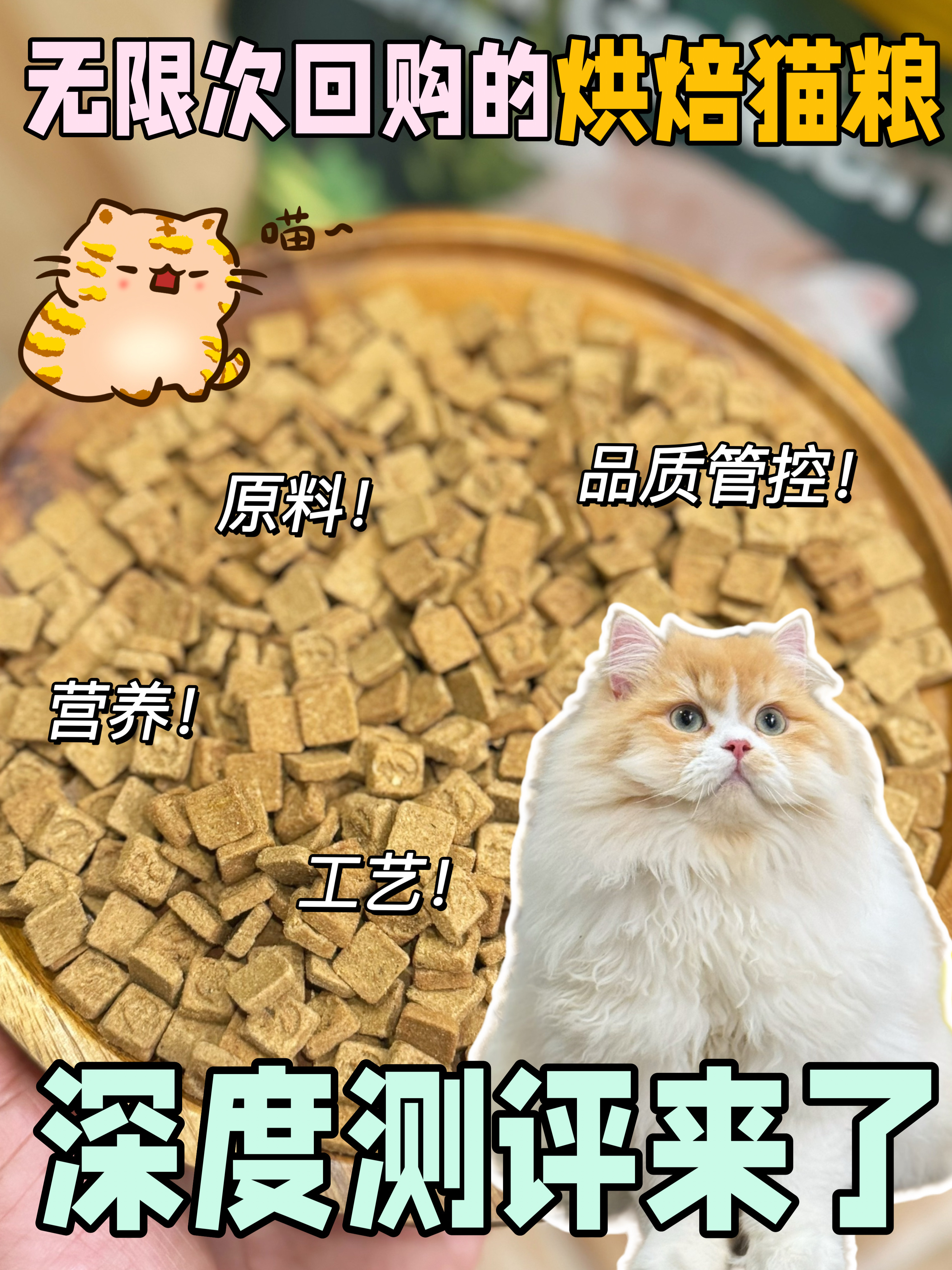 无限次回购的烘焙猫粮，深度测评来了