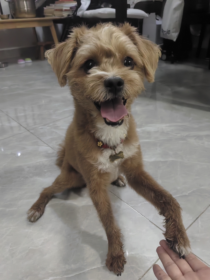 漂亮宝，怎么都欣赏不够