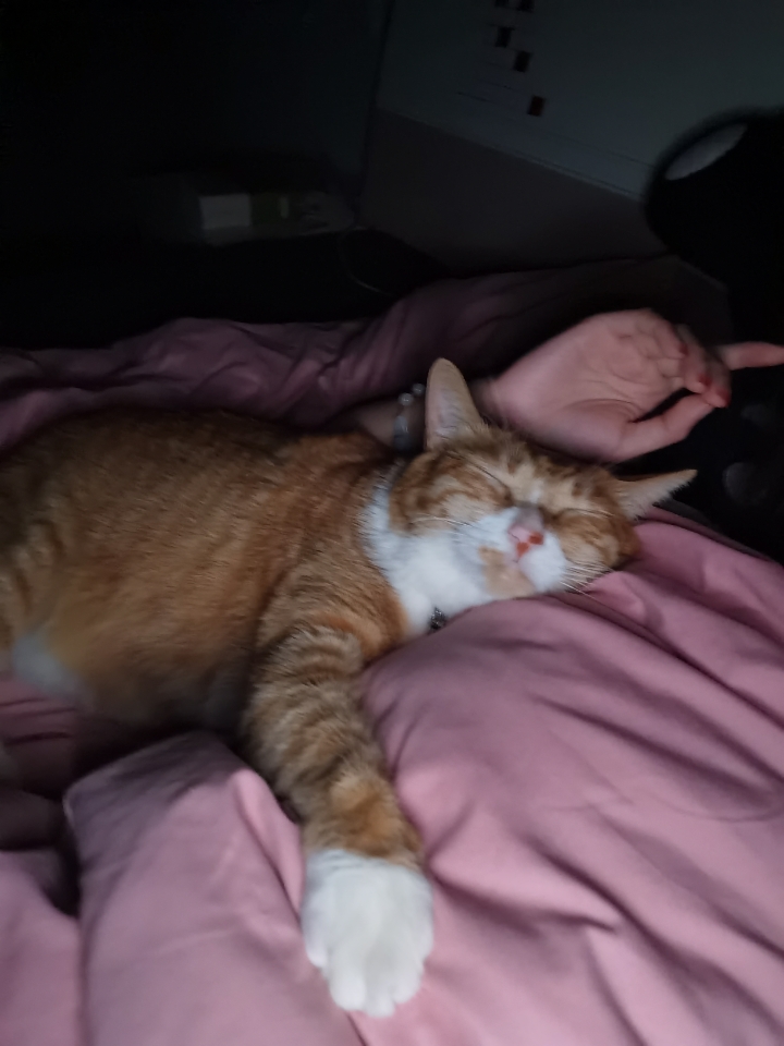 儿砸的爱，有点多