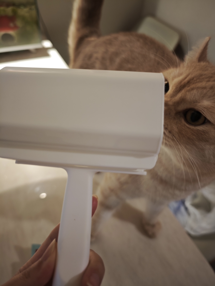 #测评/测评  得力这款粘毛器真的实用！粘性够强，衣服上的猫毛、头发、灰尘滚几下就粘干净，不伤面料不留胶。斜纹撕口很好撕，不卡顿不扯烂纸，替换方便。自带防尘盖，收纳干净不粘灰。手柄握着顺手，家用、出门随身都合适。性价比很高，日常去毛够用，养宠家庭必备，没什么槽点。