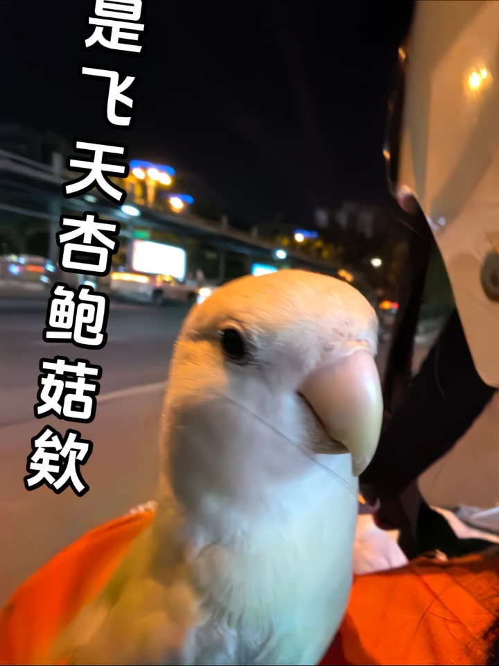 这么长的脖子 手感可真好～