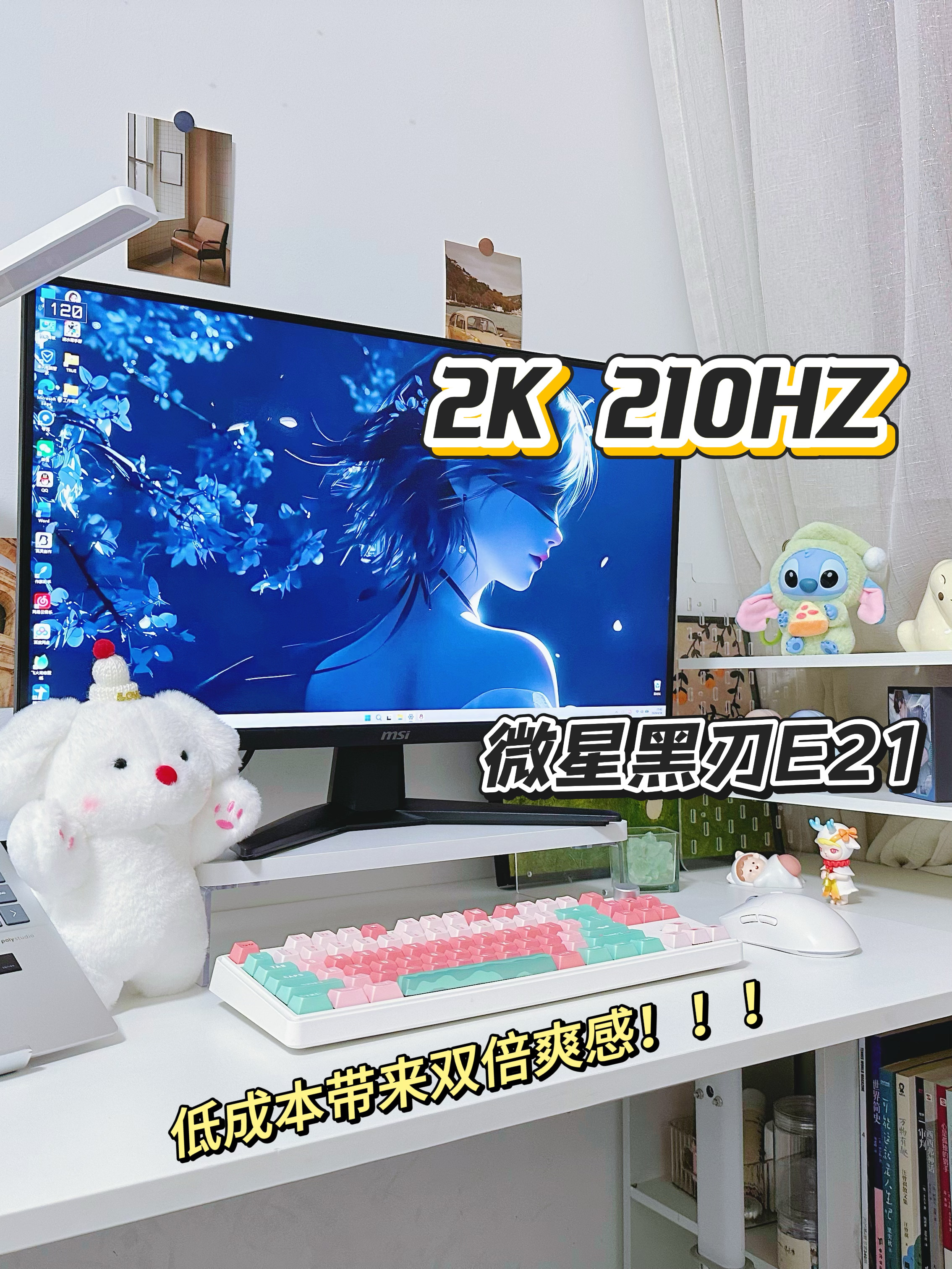 低预算搞定27´2K显示器🖥️这个黑刃太香啦