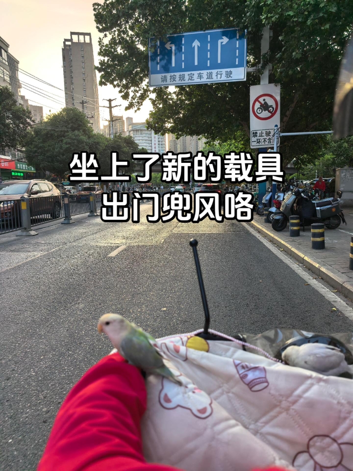 有新座驾了……