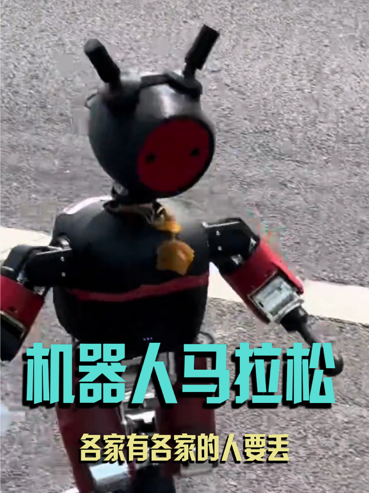 这把贪大了早知道留除夕看了