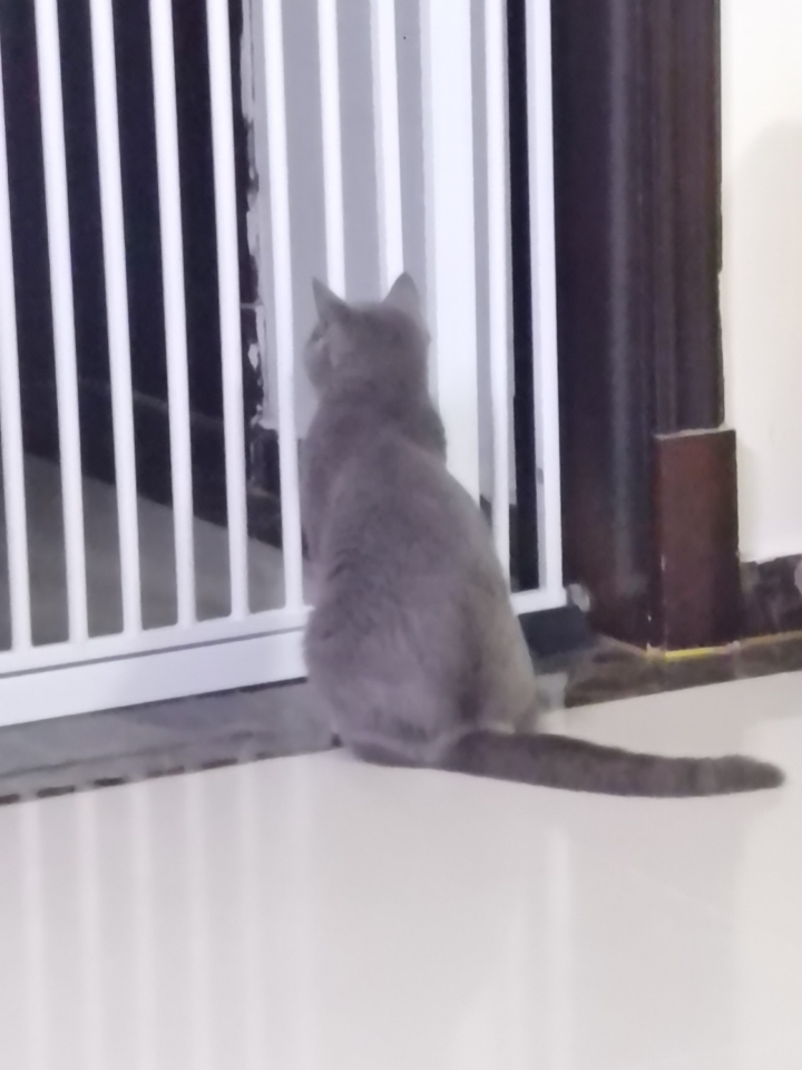 这个舞台的氛围就是粉丝都在尖叫，你不让叫真的很扫兴。大家都是花了很多时间钱和精力，凭什么不可以呢。而且艺人在台上也会很希望台下一起嗨起来的反馈吧。