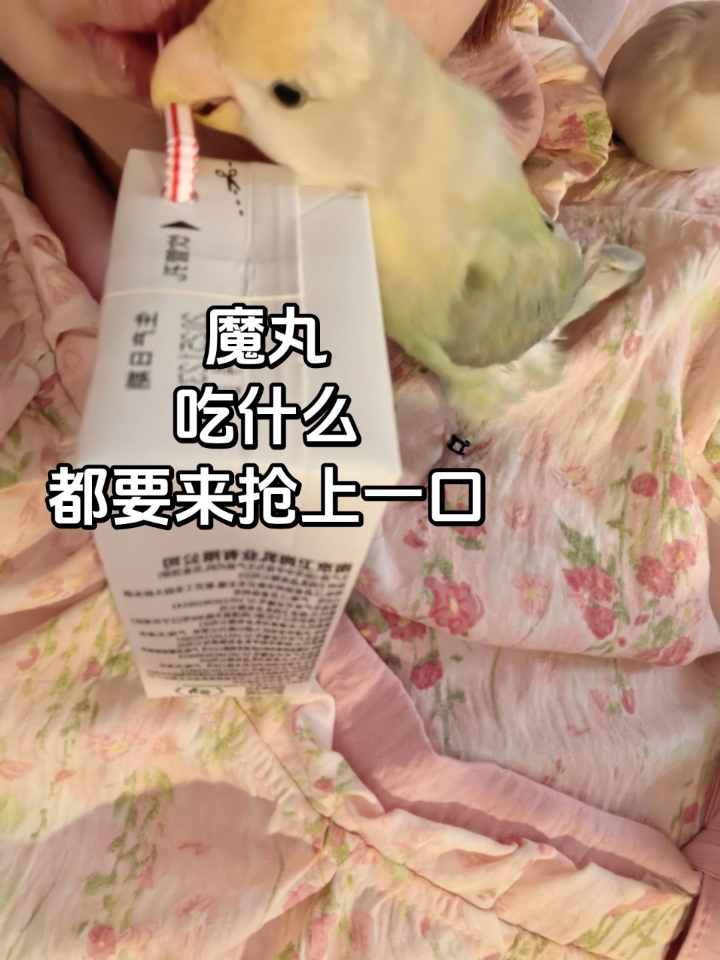 无语=_=喝个牛奶都要抢！