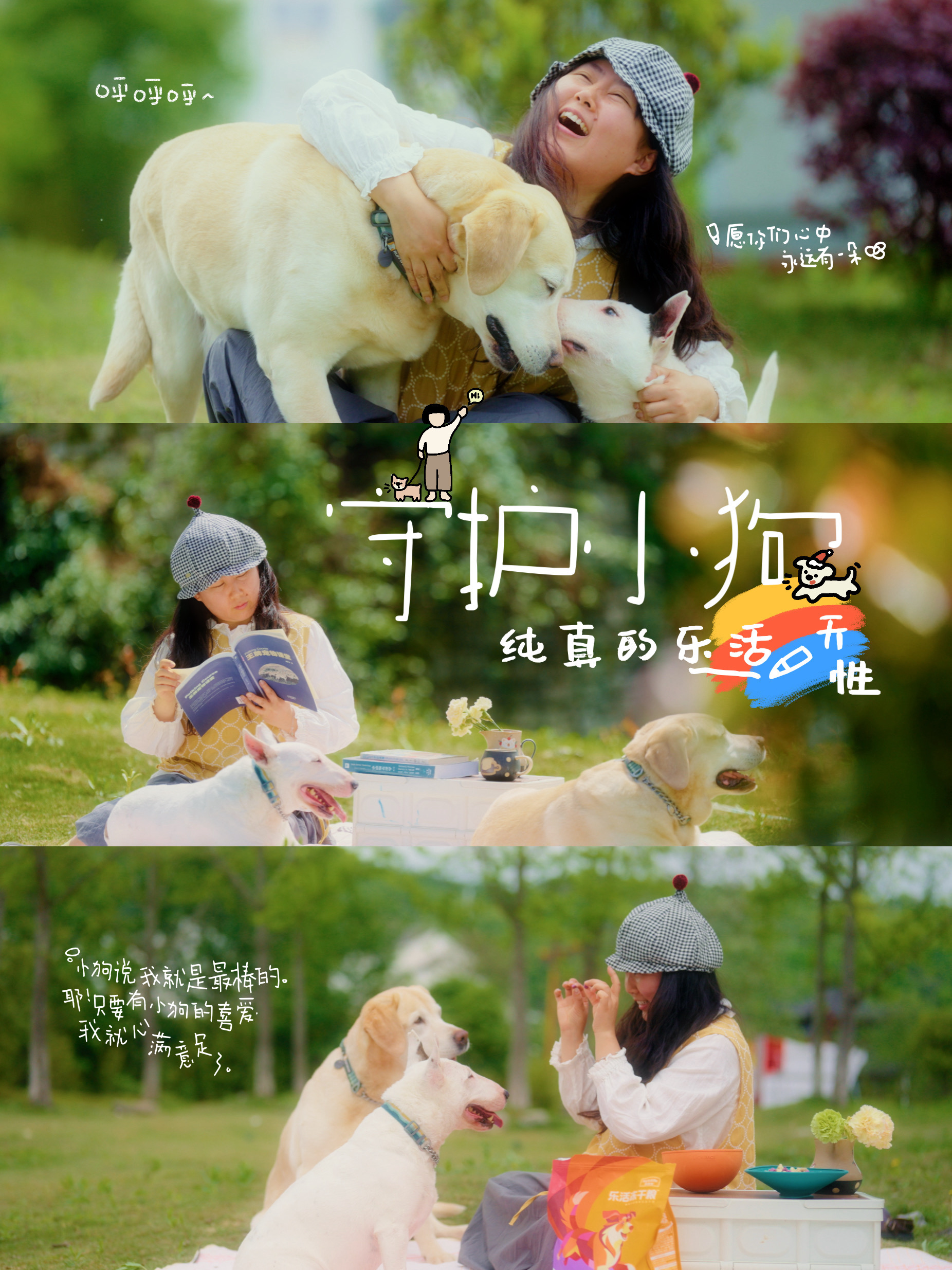 我亲爱的小狗🐕感谢你们给了我十年纯粹的爱