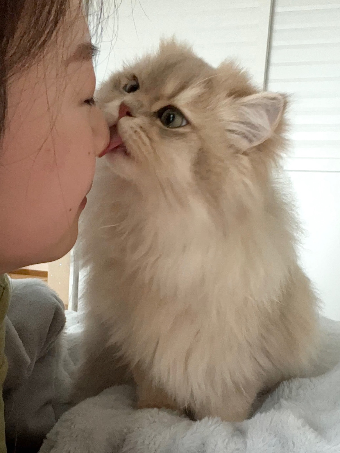 它上辈子一定是我的小孩🥺