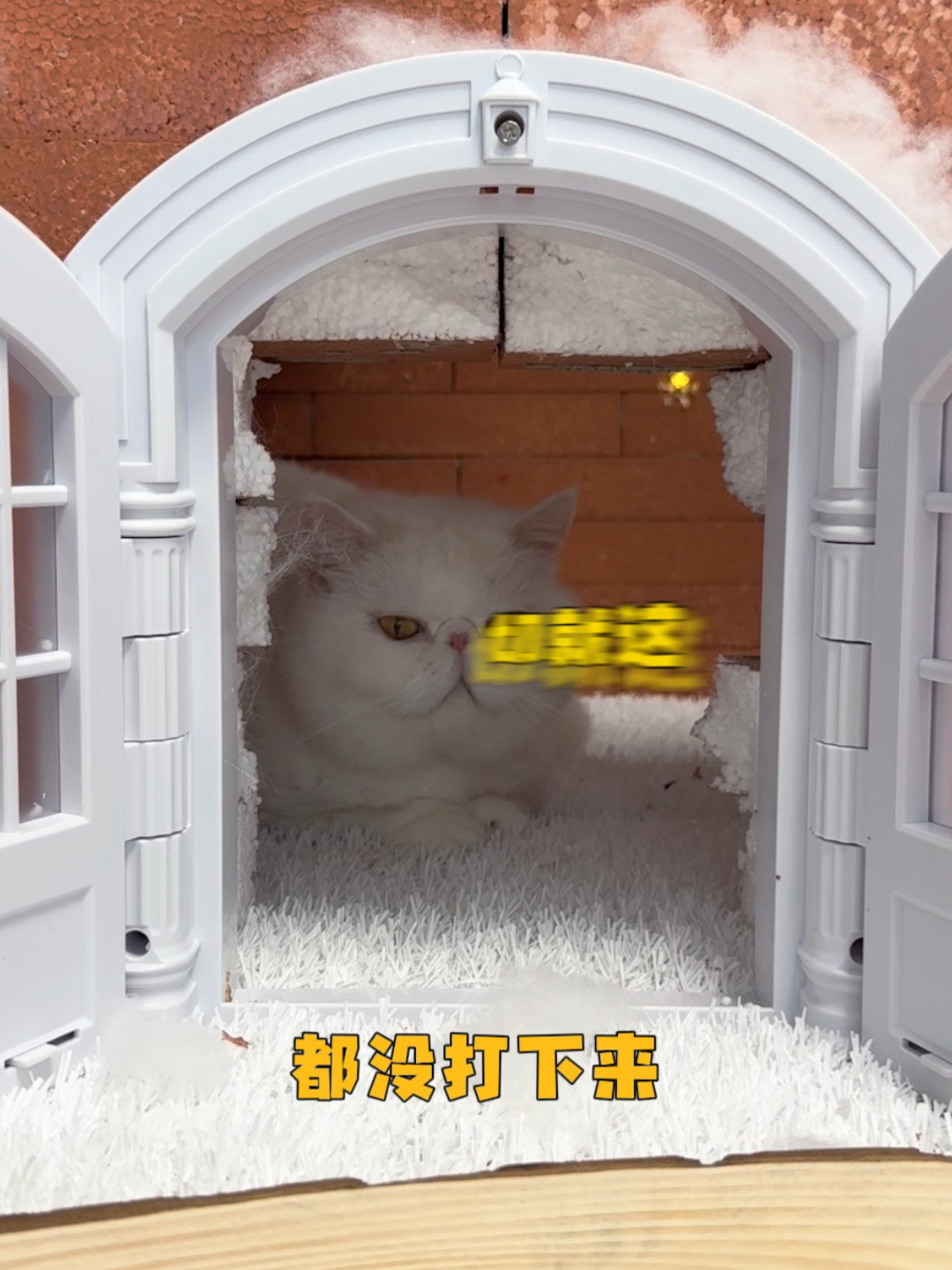 又给童童打成废墟了哈哈哈