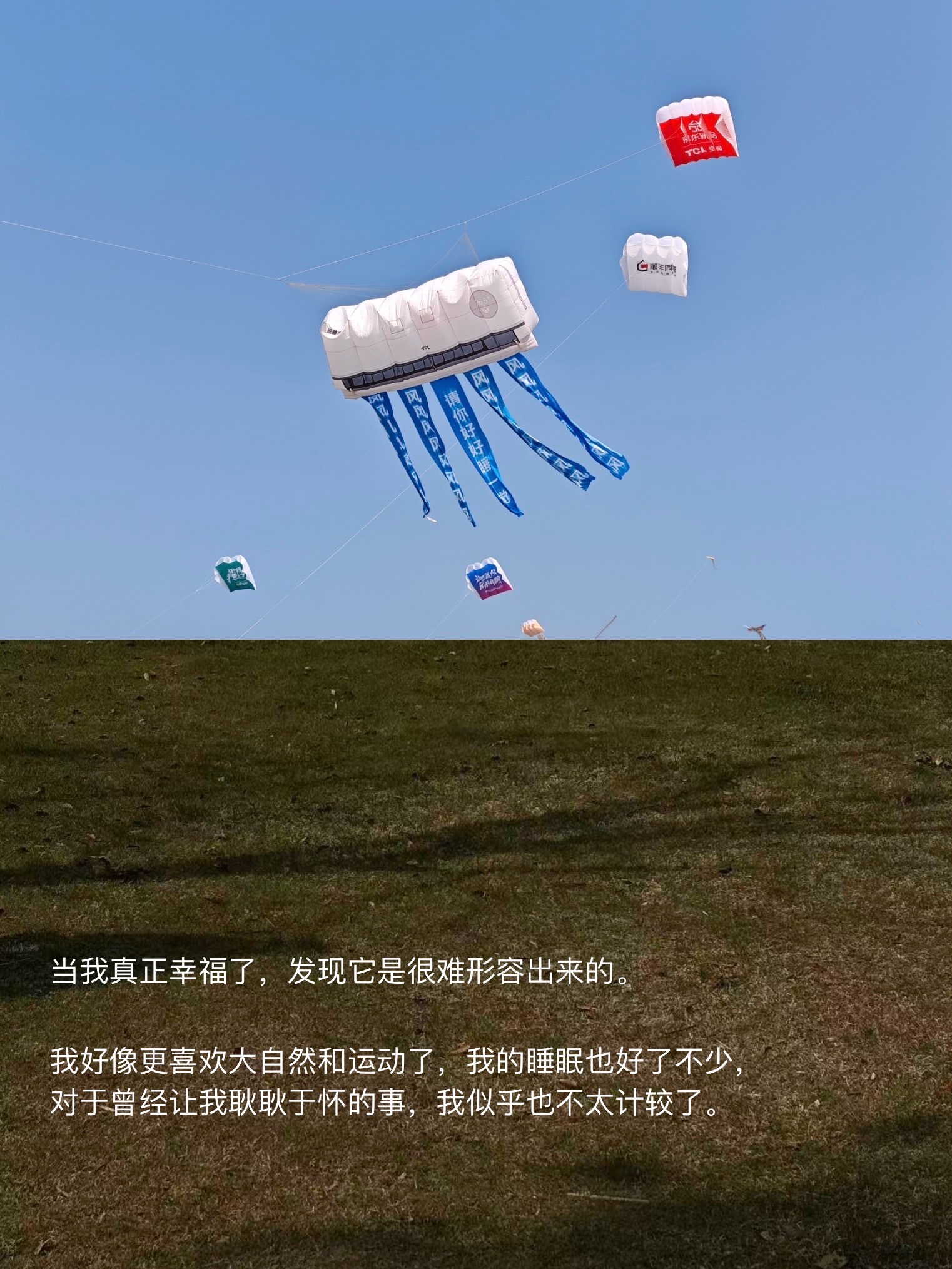 潍坊风筝节丨散步、看天、放风筝。