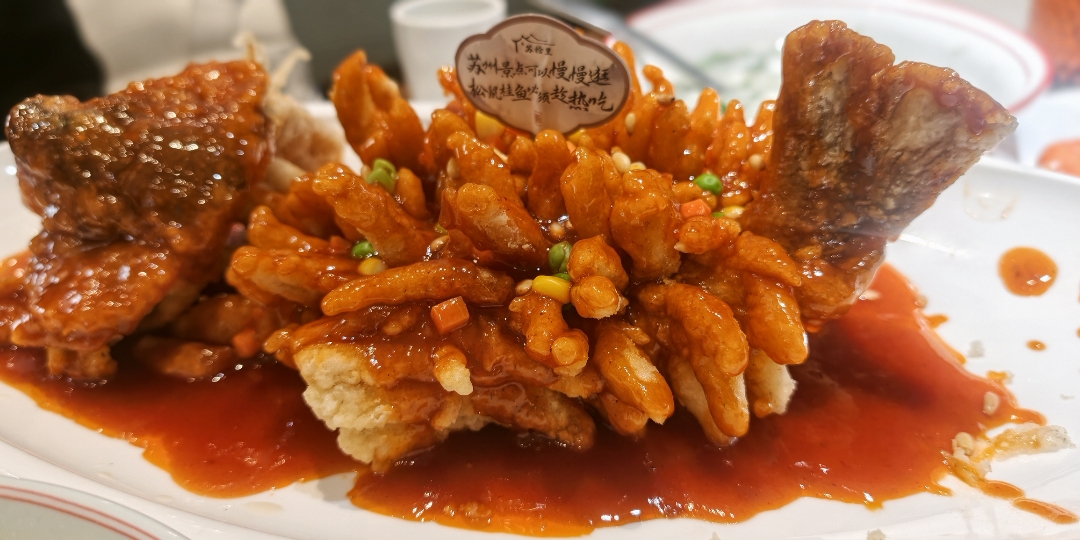 没有收入的半年，我出去看了看世界