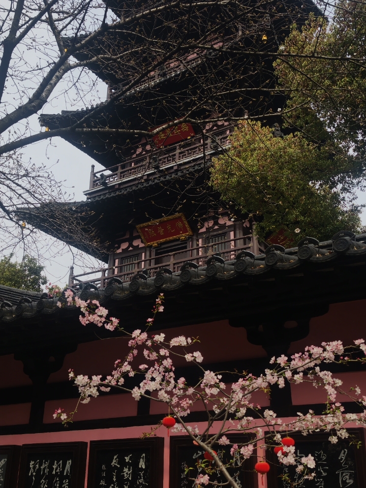 花光十万再牛马，裸辞34岁的我，出发啦