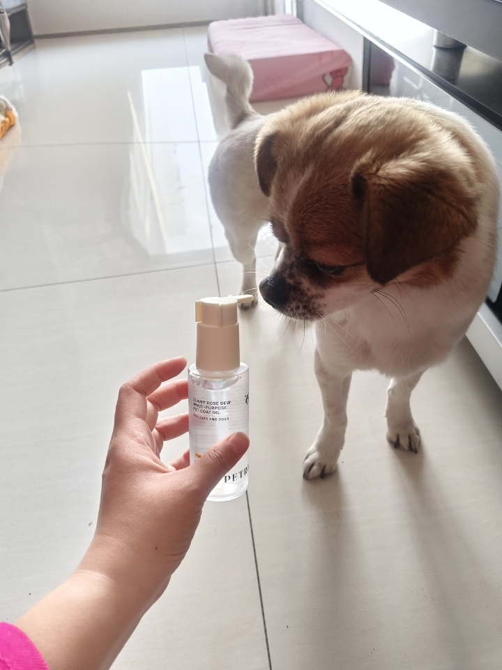 阿默护毛美毛油测评