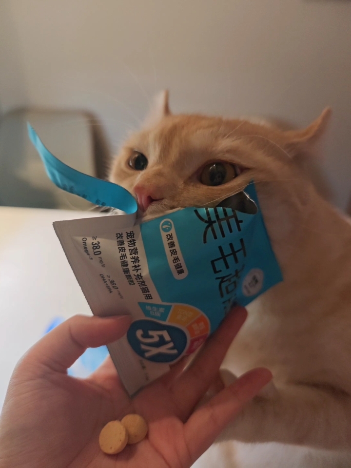 #测评/测评  爱立方美毛超能粒也太绝啦✨ 小小一颗像小馒头，酥酥脆脆，猫咪狂爱吃～ 含鱼油磷虾油，5效合一，美毛防掉毛超给力。吃了一阵，毛量变少，毛发顺滑有光泽，不用追着喂鱼油，省心又有效，蒲公英猫闭眼冲～