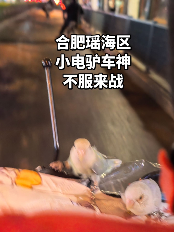 合肥瑶海区！小电驴车神不服来战！