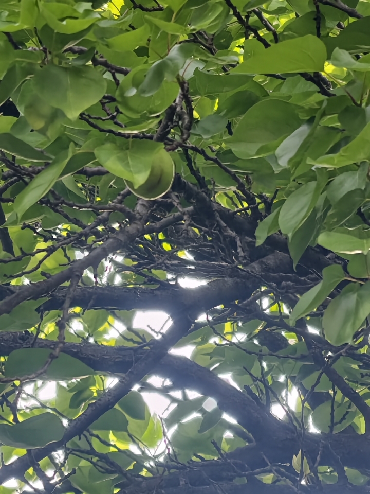 花完十万再牛马，34岁裸辞的我，回老家啦