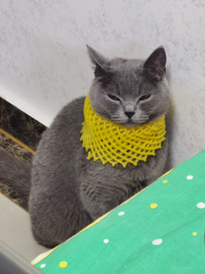 戴上黄颈套之后，我家猫变成了“不想理你”模式  昨晚给猫驱完虫，把那个黄色软颈套给它罩上的时候，它整个猫的节奏就变了。  一开始是愣在原地，像按了暂停键。然后开始往后退，边退边低着脑袋想把颈套蹭掉，发现蹭不掉，就原地坐下，用后腿疯狂蹬那个圈。蹬了半天，颈套歪了但没掉，它的表情已经从困惑升级成了“你在跟我作对”。  最搞笑的是它想走进猫窝，结果颈套卡在窝门口，脑袋进去了身子进不去，卡在那儿进退两难。...