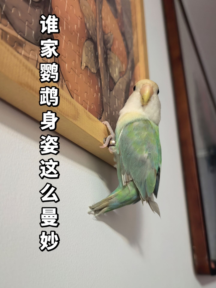 这身姿过于曼妙了啊喂！