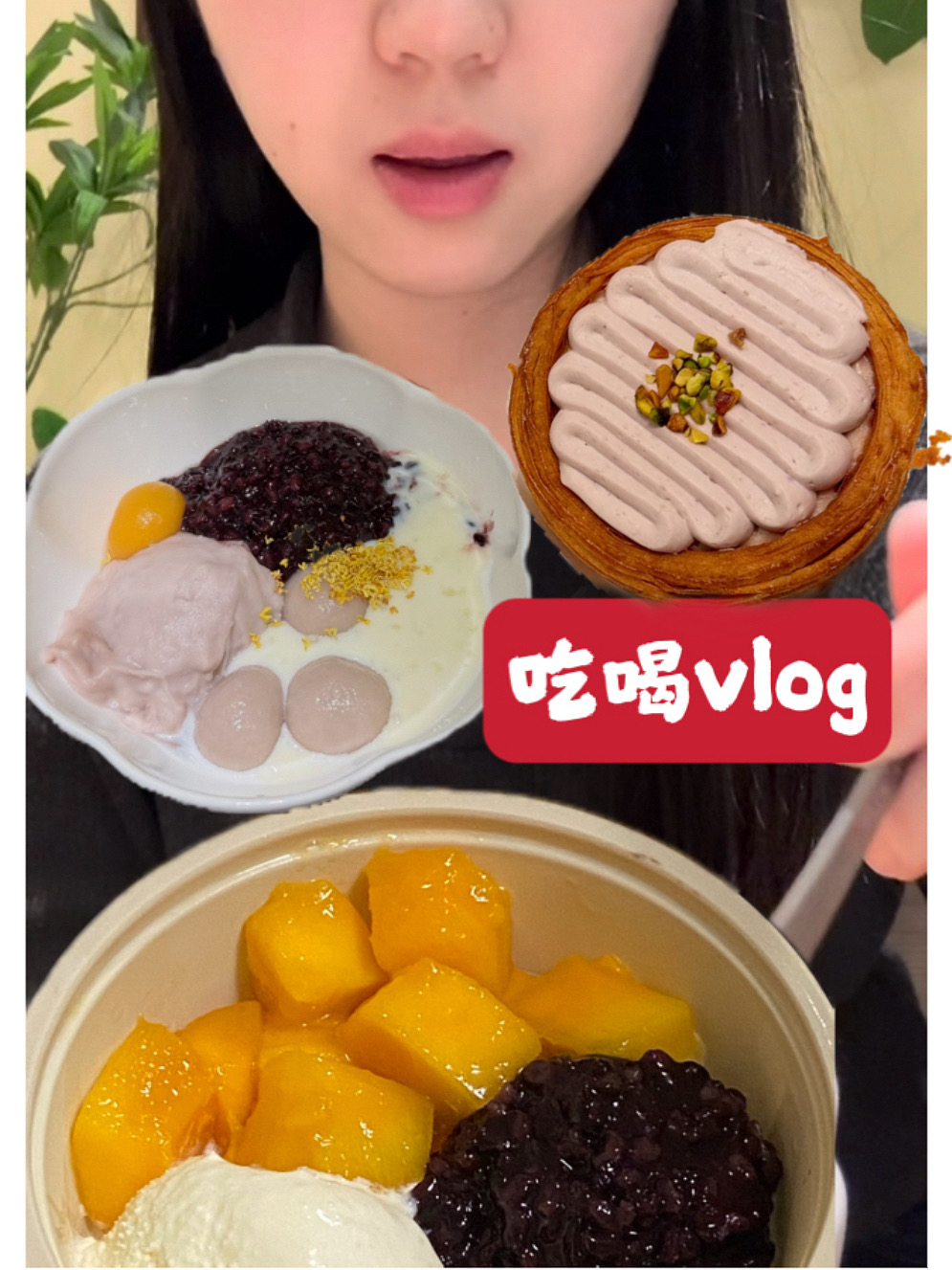 逛吃甜品vlog～芒果血糯米 芋泥蛋挞 知茶猫
