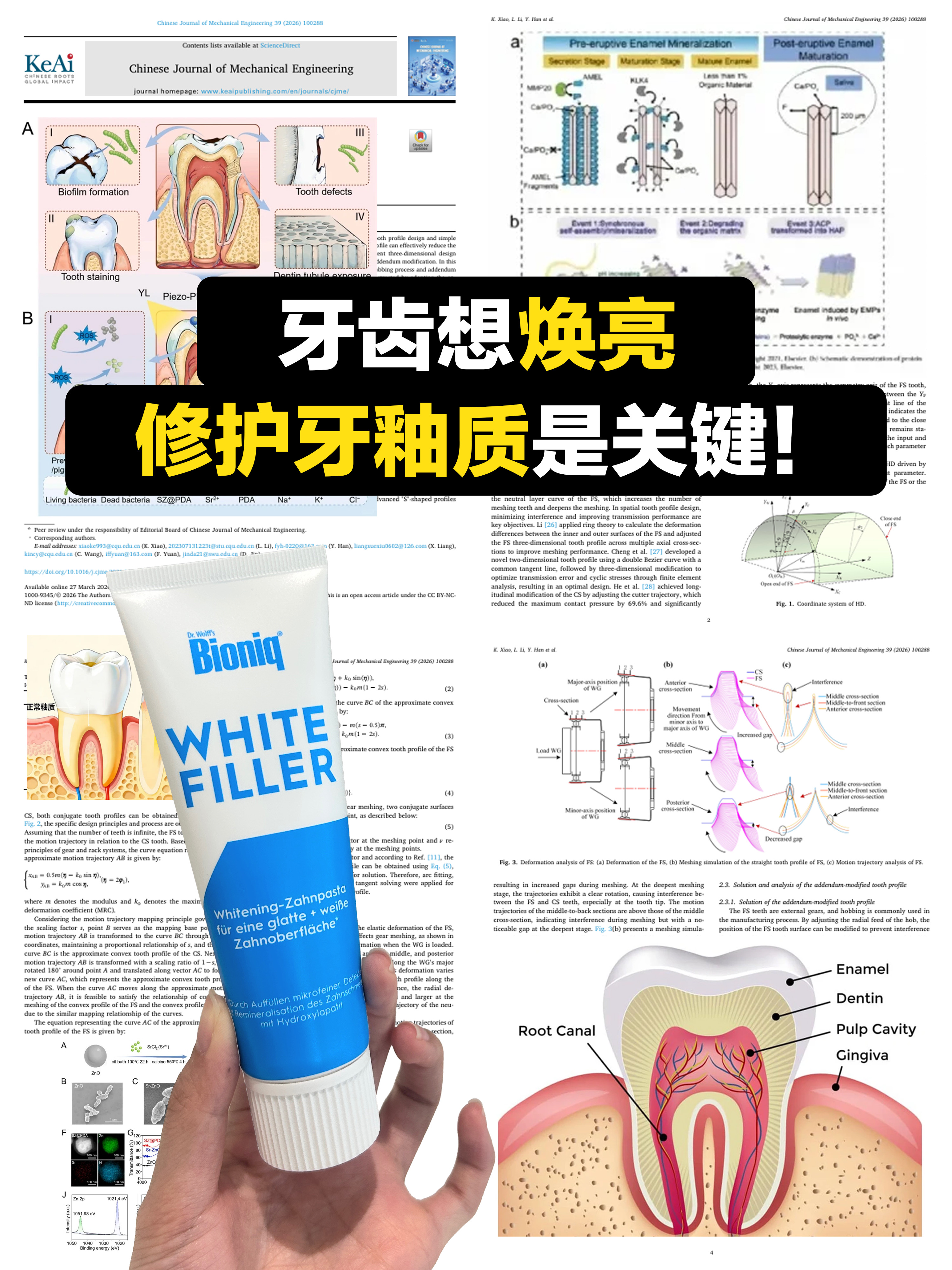 常年牙黄根源不在牙渍！竟是修护牙釉质🦷？