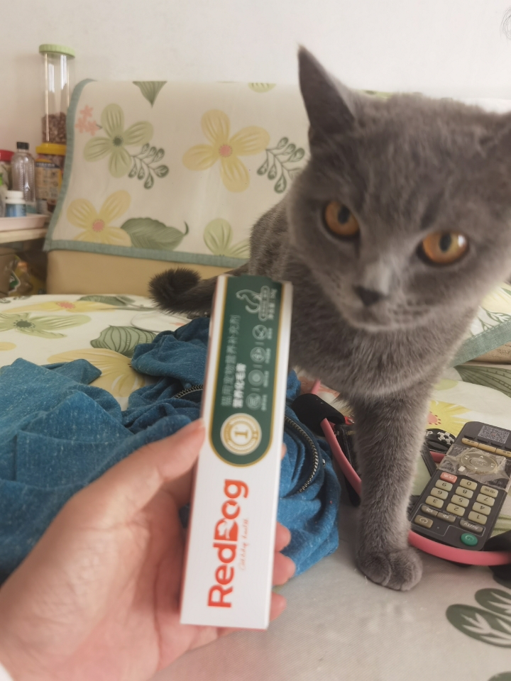 红狗化毛膏真实测评，我家猫吃完再也不吐毛。质地是深褐色膏体，比牙膏稀一点点，挤出来很顺滑，不会一坨一坨的。 适口性真的绝了。我家猫平时挑食得很，结果化毛膏一挤出来它就凑过来闻，舔了一口之后直接抱着管子不撒手，追着我跑。现在每天喂它都像在喂零食，完全不用哄。#测评/测评