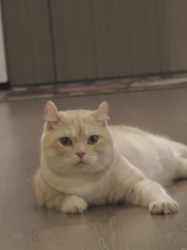 5.1