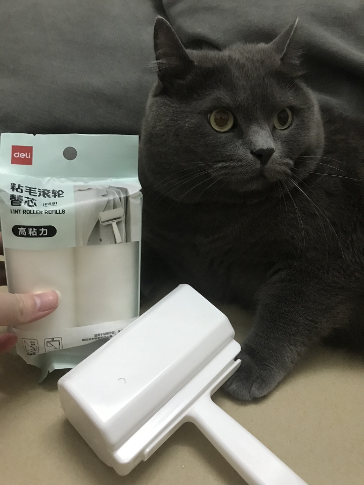 得力滚筒粘毛器测评📝