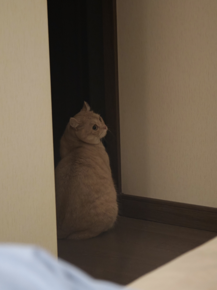 5.2