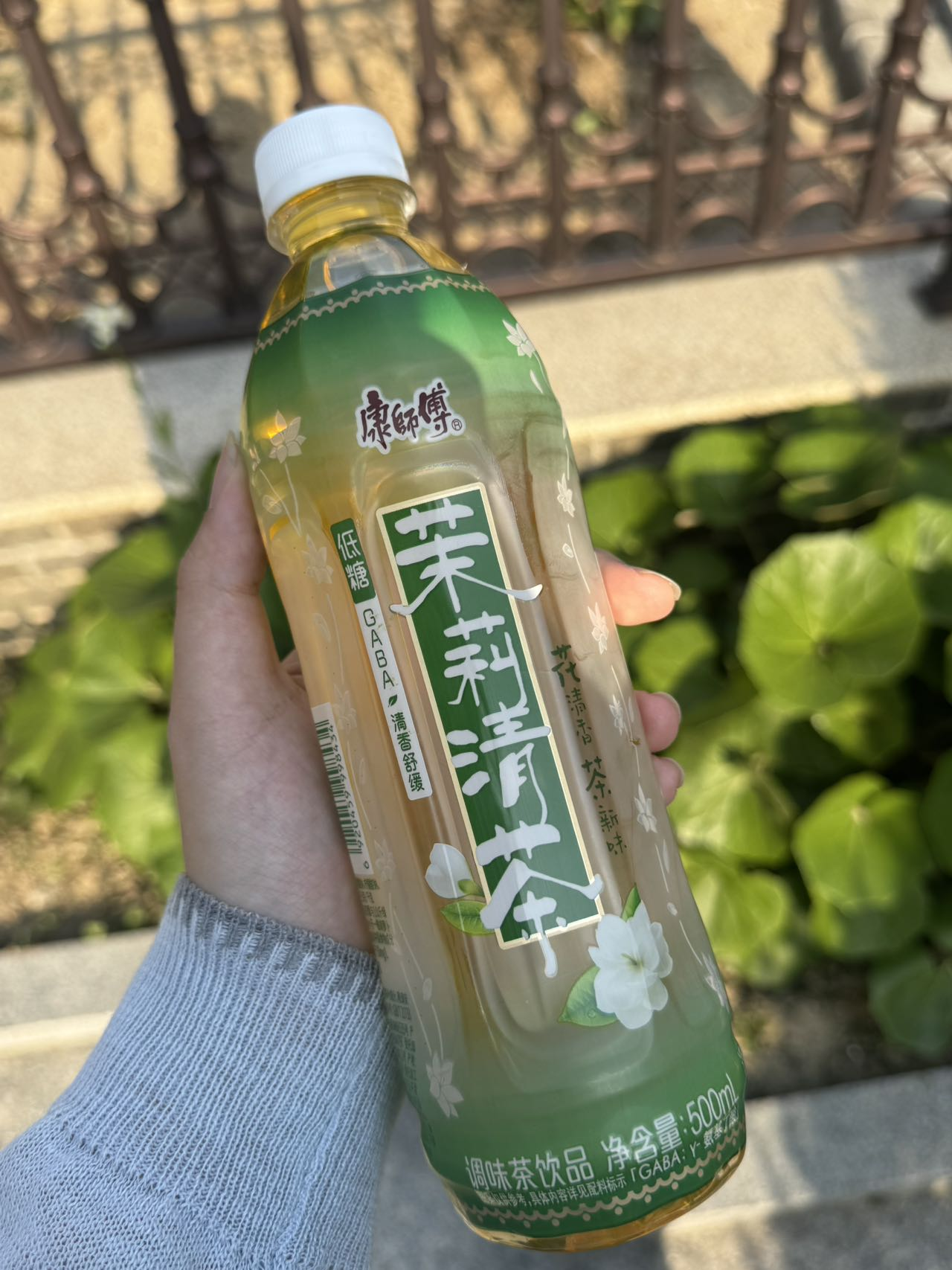 🌿 春日遛弯，被它拿捏了！