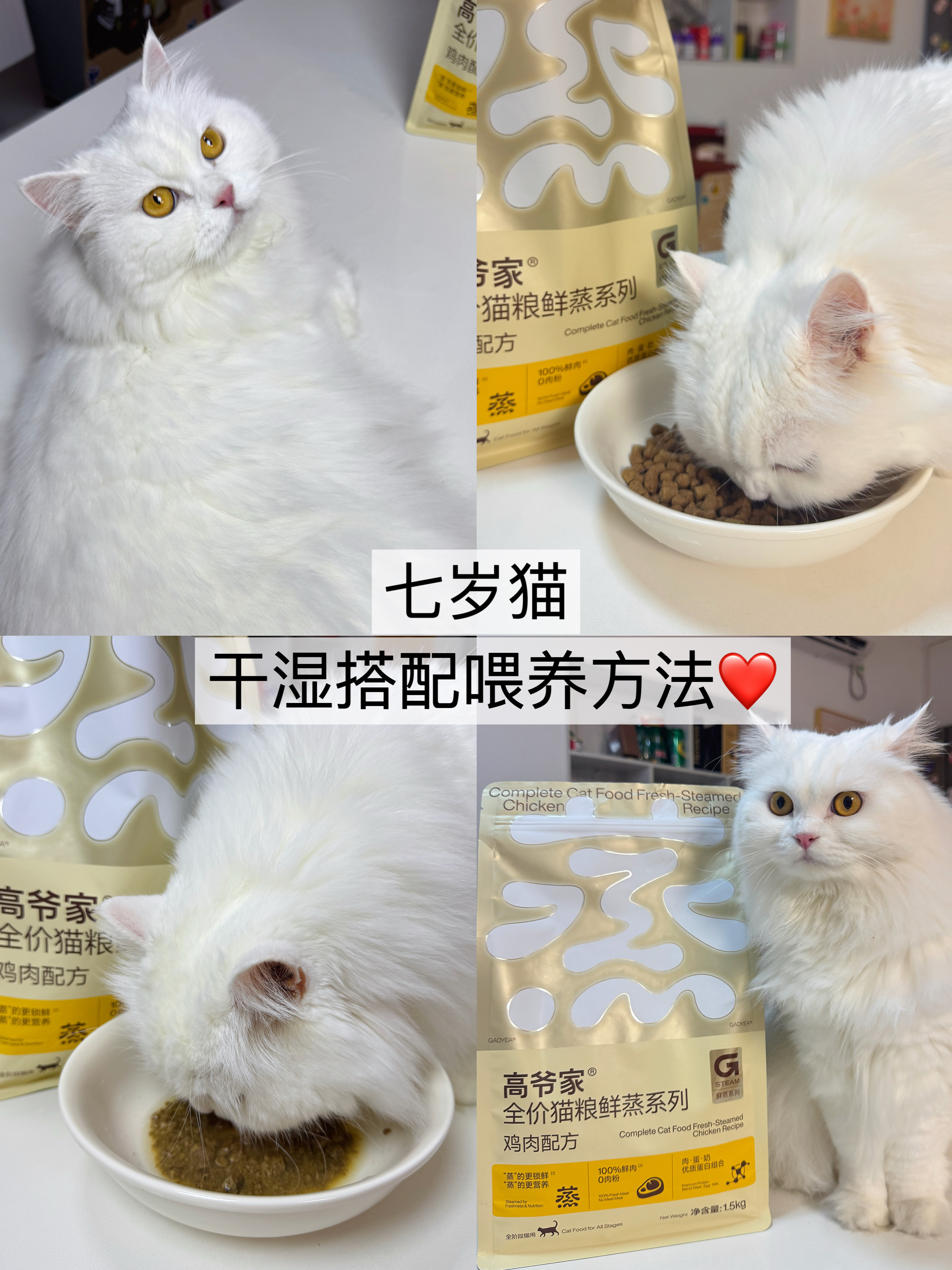 养猫多年实测｜老年猫就吃这款鲜蒸粮！
