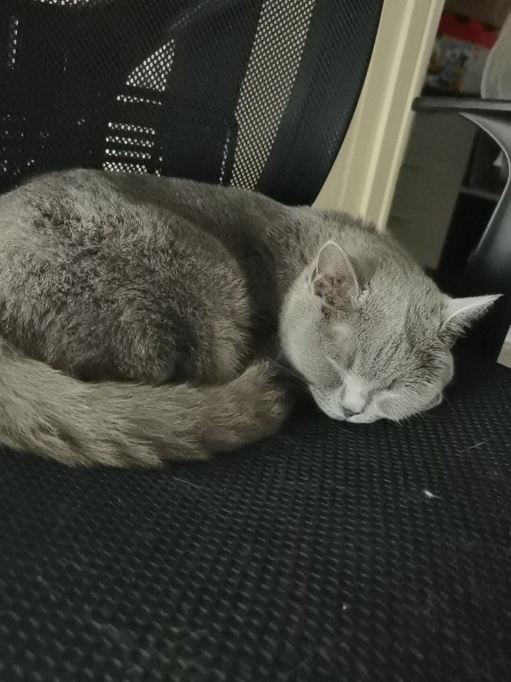 260501妹猪