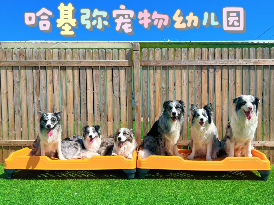 总有些生命，兜兜转转只为治愈你而来