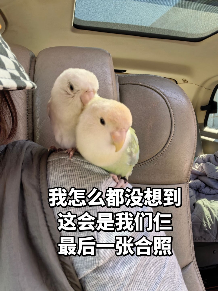 不好意思 眼泪真的止不住