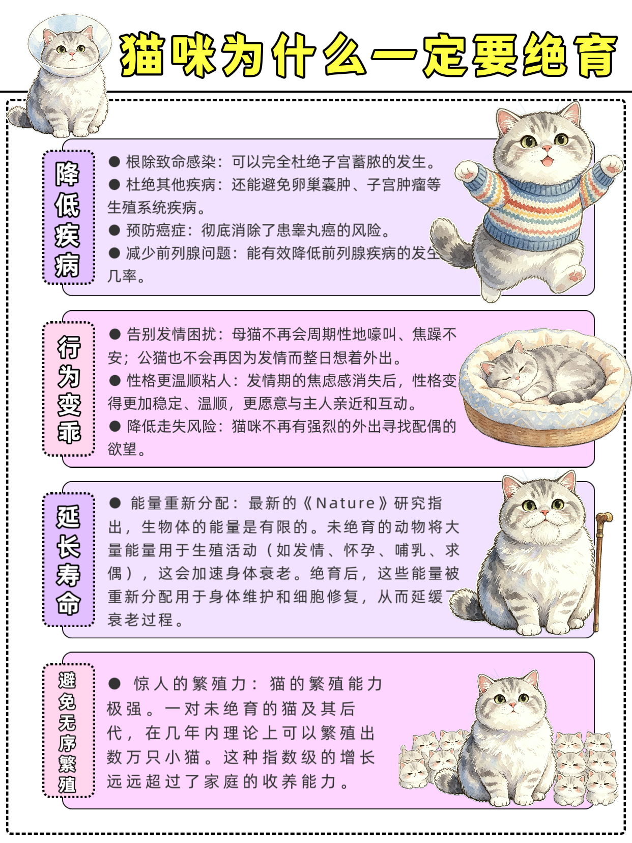 西五街