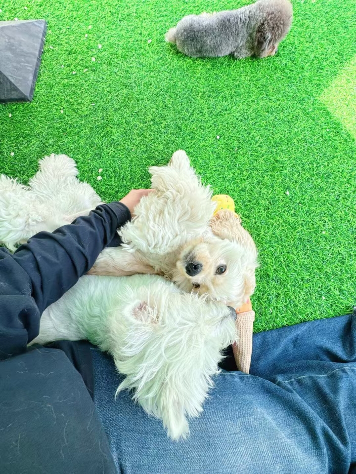永远只是助词 当下才珍贵