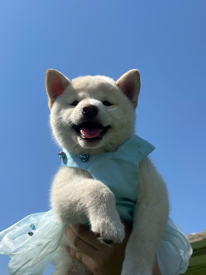 点点头 然后加加油