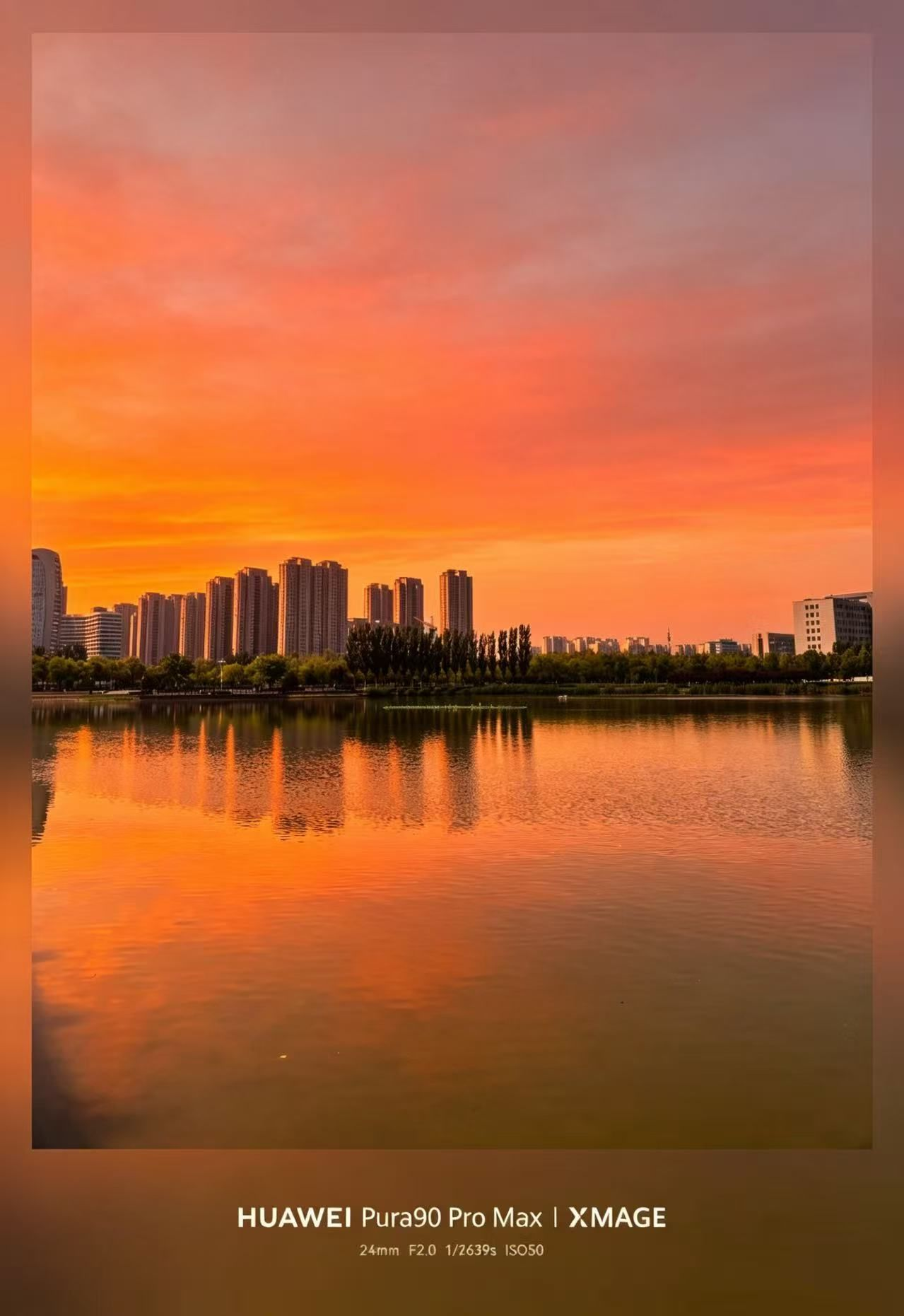 为什么一阳迁徙会出圈