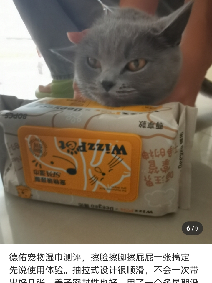 西五街