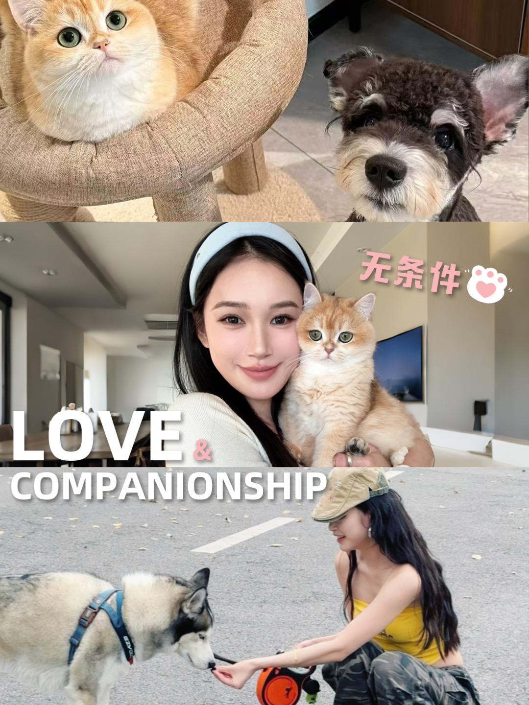 小猫教我的反内耗式“养生”