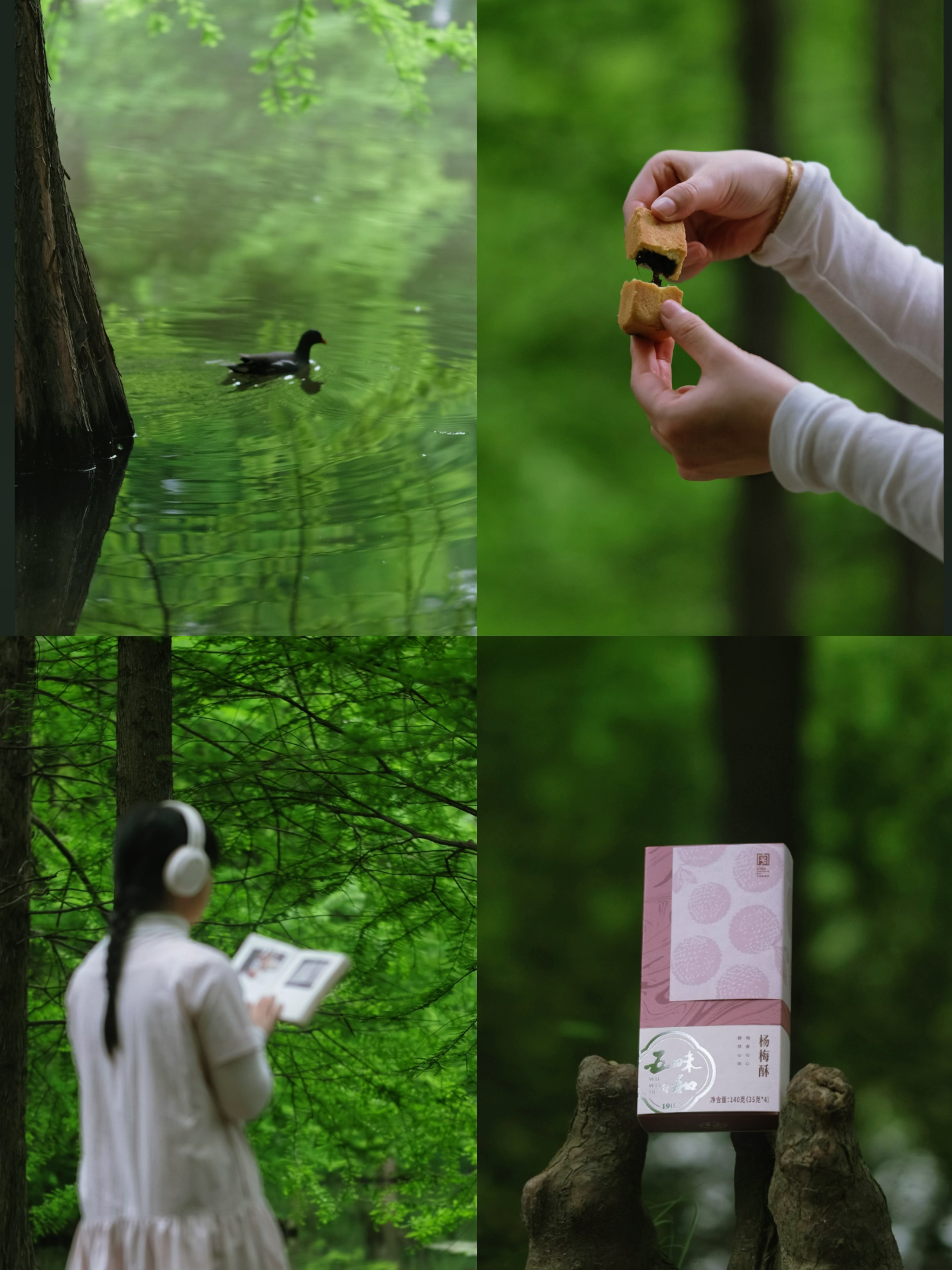 赞美夏天